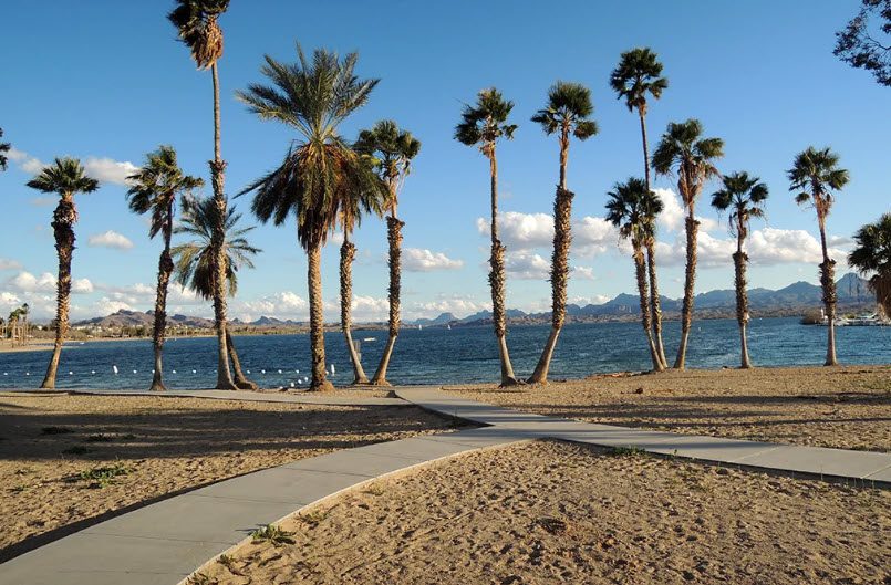 best beaches near me London Bridge Beach — Lake Havasu City