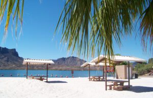 where are the best beaches Arizona Cattail Cove State Park Lake Havasu City